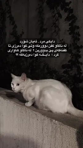 کــوا دەرزیــەکــە ؟؟ 💔                                                   #acc #foryou #kurdistan        #slemani #actives? 