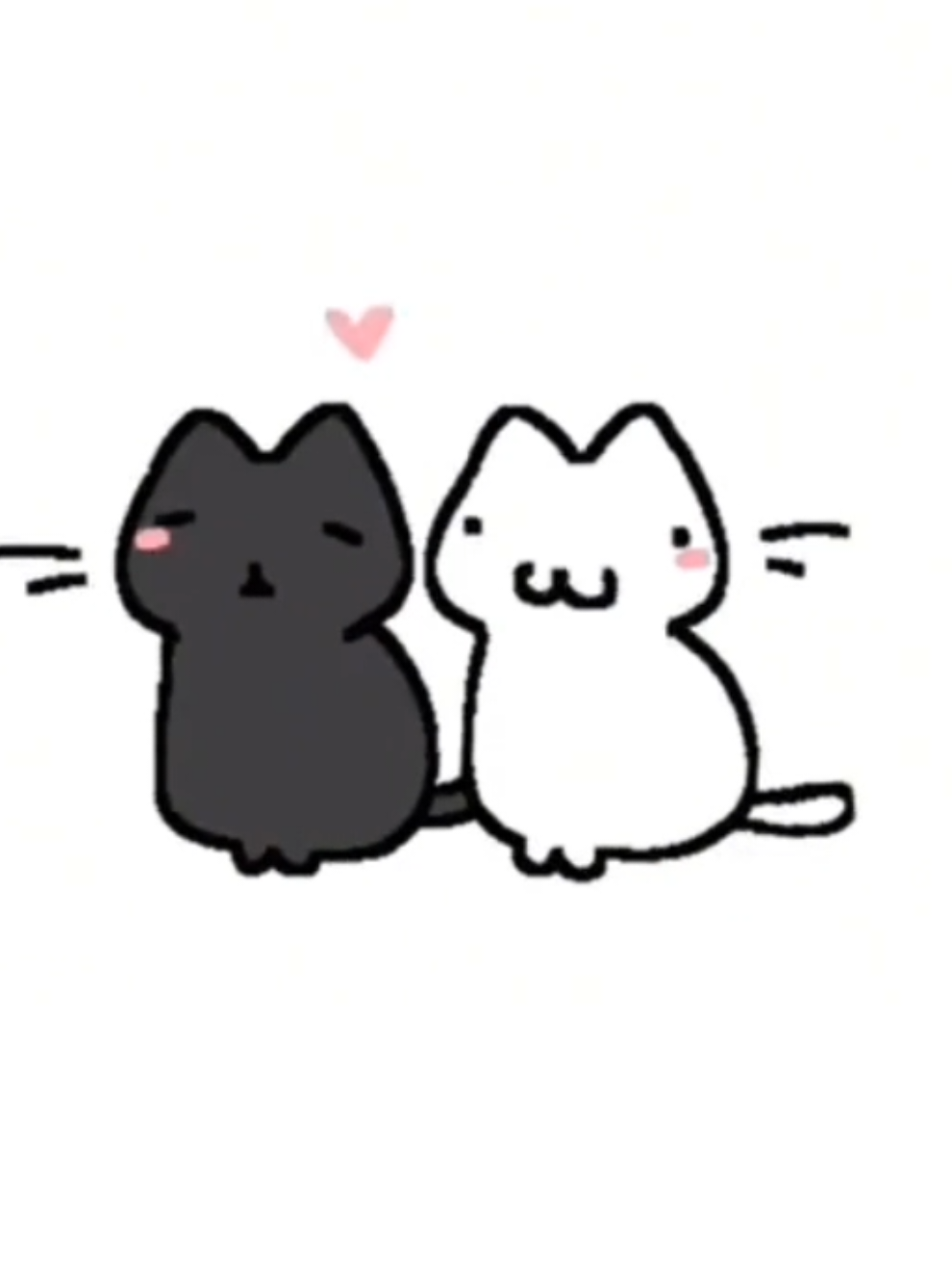 another cringey cat video.. #malicemizer  #cats #thisisus #uscats #foryoupage 