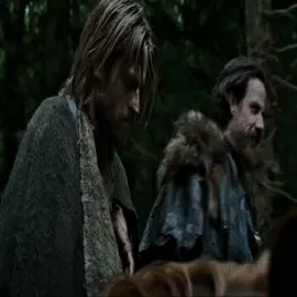 aham jaime #jaimelannister #gameofthrones #edit #aesthetic #jaimelannisteredit 