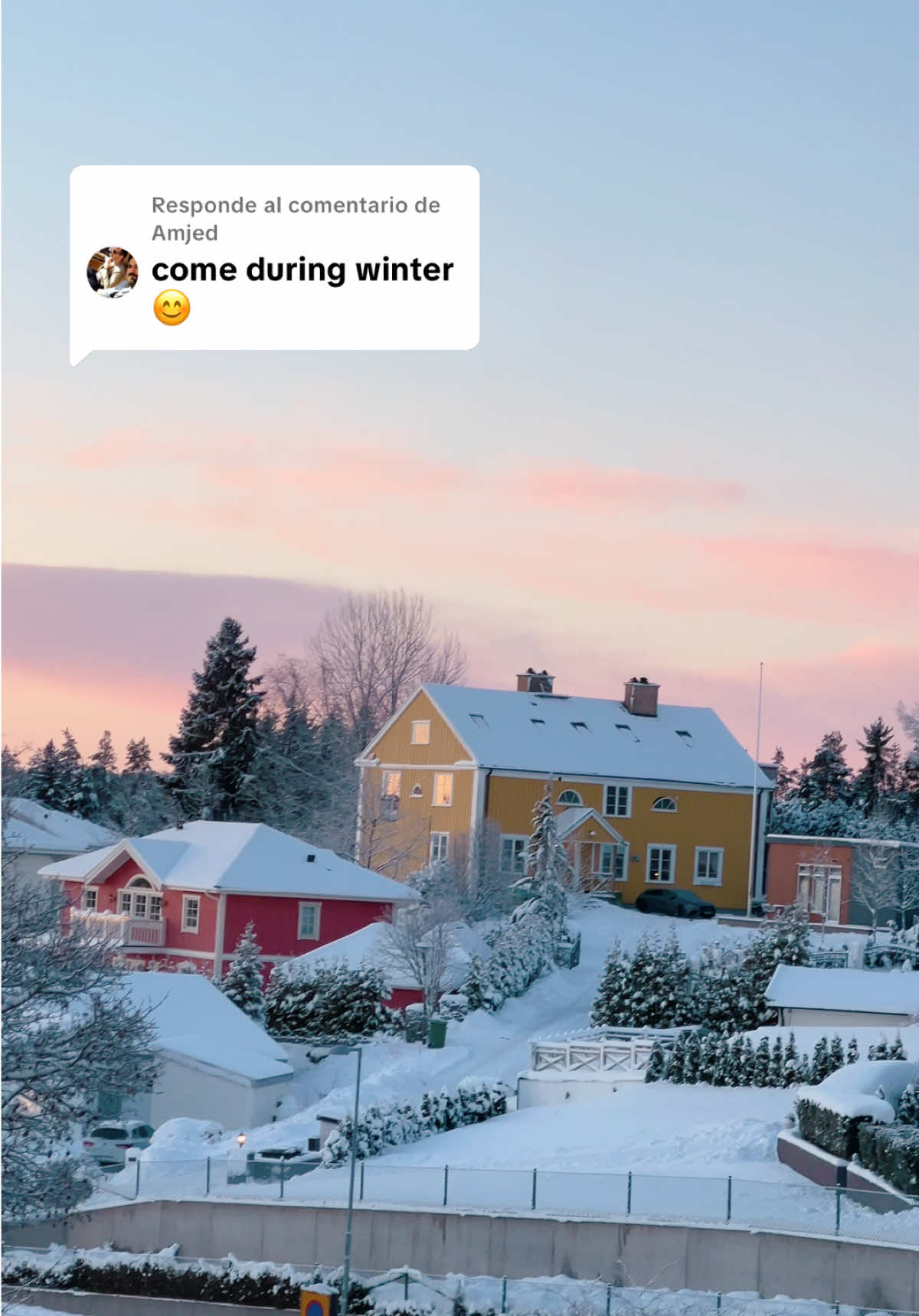 Respuesta a @Amjed  🥶😁 Beautiful too #sweden #stockholm #sverige #fördig #winter 