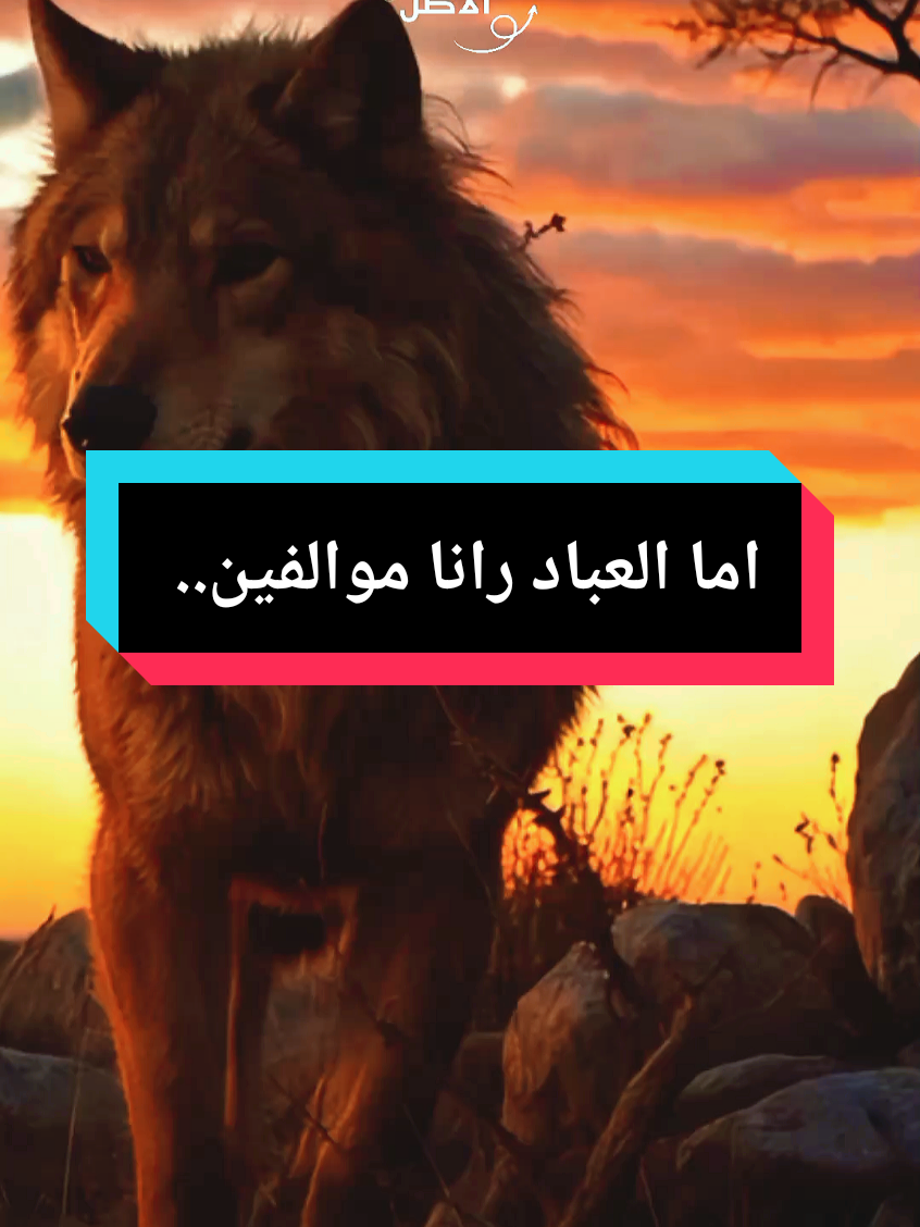 اما العباد رانا موالفين.... #الشعب_الصيني_ماله_حل😂😂🏃🏻‍♀️ #ecsiumTR #الخليج_العربي_اردن_عمان_مصر_تونس_المغرب #الجزائر_تونس_المغرب 