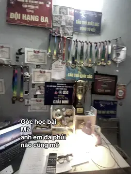 Bộ sưu tập thiếu mỗi giày vàng thoi 😭 #xh #xhtiktok #abcxyz #xuhuongtiktok #la 