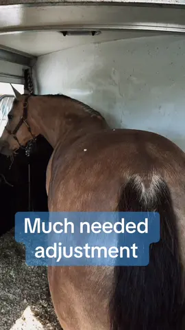 Getting some adjustments done before the BIG SHOW!  We’re only a month out and it was time!  #horsesontiktok #ranch #horseranch #worldchampion 