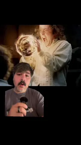 Gandalf called it at the start... Pippin ain't part of the fellowship cause of his intelligence. #pippin #lotr #lore #tolkien 
