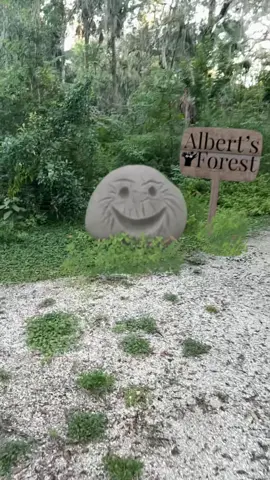 Return to Albert’s Forest