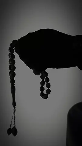 لا إله إلا الله .. #الشيخ_بدر_المشاري #بدر_المشاري #بيار_خيرالله #بيار_زندي #beyar12 