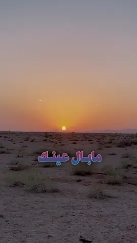 #تصويري #اكسبلور 