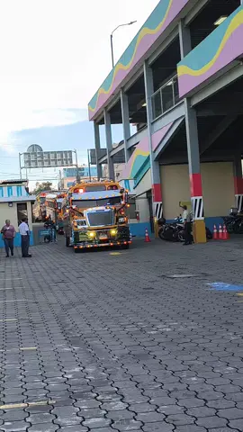 viajesito 🛫#exclusiveline👑 #gatitapluss #algobellopalcamello🐫💵 #educandoalacompetencia #puraelegancia😎  @Transporte Exclusive Line 👑®️ @Omar Sanchez🩵💛🔥 @𝙂𝙖𝙗𝙧𝙞𝙚𝙡, 