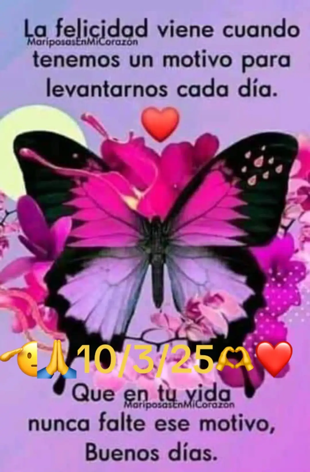 #Parati#viral#paraticktviral 