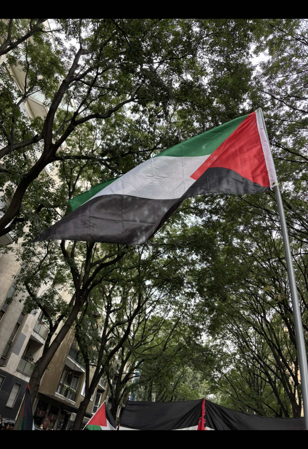 #freepasletine🇵🇸 #manifestazione #milano 🇵🇸🇵🇸🇵🇸🇵🇸🇵🇸🇵🇸🍉🍉🍉🍉🍉
