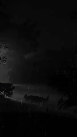 #สตอรี่ความรู้สึก #CapCut #สตอรี่เศร้าๆ 