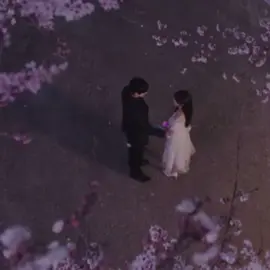 #tothemoon #kdrama #leesunbin #kimyoungdae 