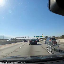 who let the shopping cart cruise 