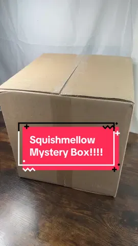 #squishmallow #mysterybox #tiktokshop #squishmallowsquad 
