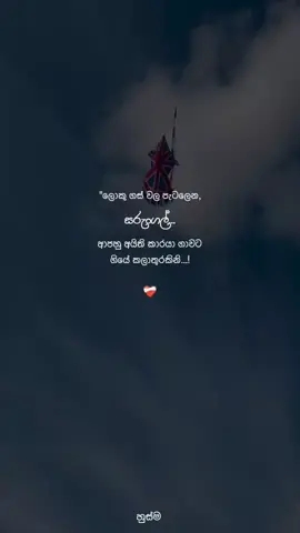 #සරුංගල්_ගැනම_නෙවෙයි #foryou #foryoupage #tending #wairal__video 
