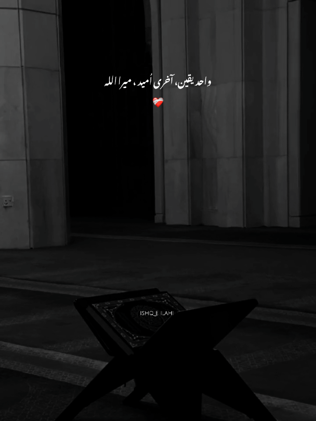 part 47 ❤️‍🩹!میرا اللہ  #Allah #IslamicVibes #deeplines #foryou #foryoupage 