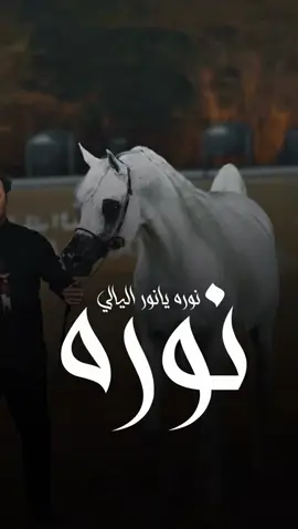 شيله باسم نوره جديده 