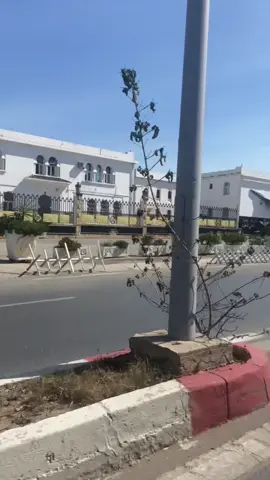 #blida09_tiktok_algérie❤️🇩🇿 #maryoula_officiel🔥🐊 #tiktok #algerie🇩🇿httydtiktok #algerie🇩🇿_maroc🇲🇦_tunisie🇹🇳 