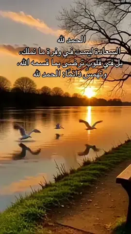 السعادة ليست في وفرة ما نملك، بل في قلوبٍ ترضى بما قسمه الله، وتهمس دائمًا: الحمد لله#همسة❤️الروح 