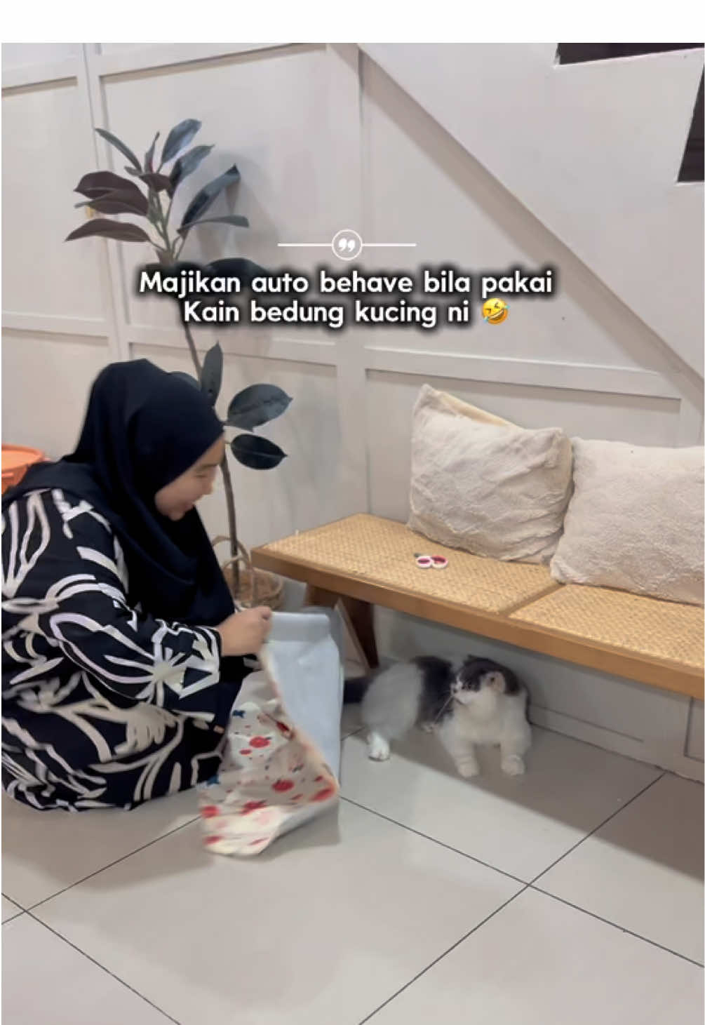 Memang korg pon tau kucing akak garang2 kan 🤣 ha kain bedung kucing tu sumpah membantu sgt2 ye kawan2 🥹 #kainbedungkucing #catwrap #catlover  #pecintakucing #kucinggarang 