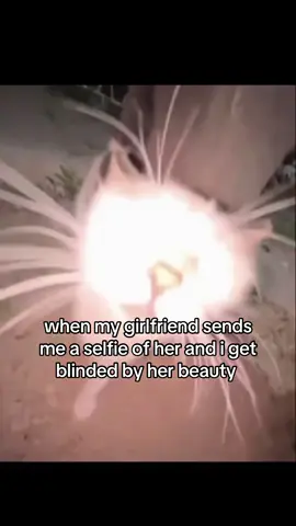 #cat #catsoftiktok #couplecomedy #relatable #ilovemygf #fyp 
