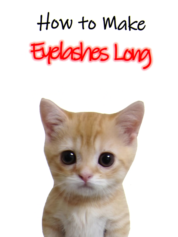 How to make your eyelashes long 