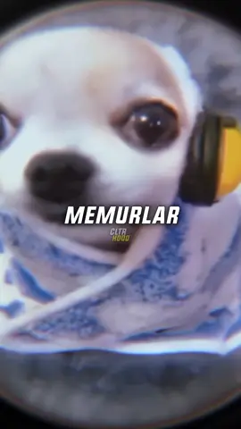 fazlaca dar 🤣 . #Eray067 #Mansur607 #Batuflex #buradasokaklar #spotify 