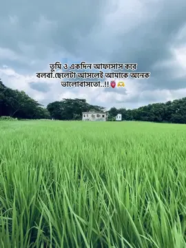 তুমি ও একদিন আফসোস করে বলবা.ছেলেটা আসলেই আমাকে অনেক ভালোবাসতো..!!🫀