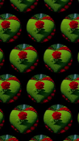 🤗🥰🤗🌹🌹🌹🤗🥰🤗 Love the song