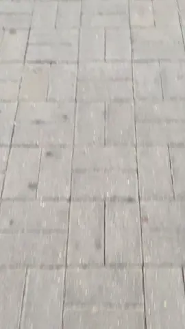 Это бмв м5 #м5ф90 #cars #carspotting #fyp #врекомендации 