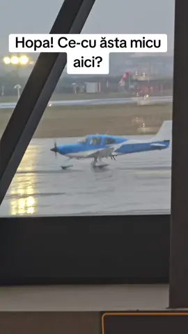 Hopa? #tiktok # airplane #airport 