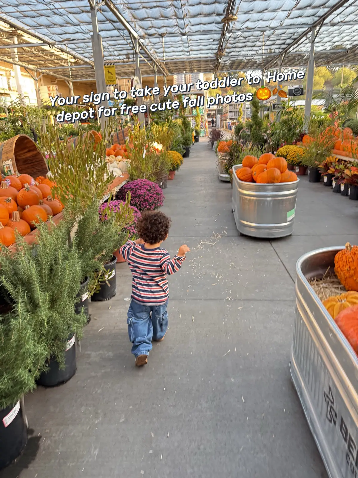 This is our second year taking photos at Home Depot for fall and this year it was perfect. We go during sunset time for golden hour✨🌅🎃 @The Home Depot @Gap @target #homedepot #fallseason #toddlerfallclothes #fallphotoshoot #toddlermomlife 