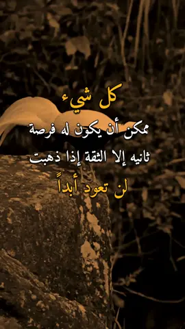 الثقة إذا ذهبت لن تعود 👌✋ #عبارات #امير #اكسبلورexplore 