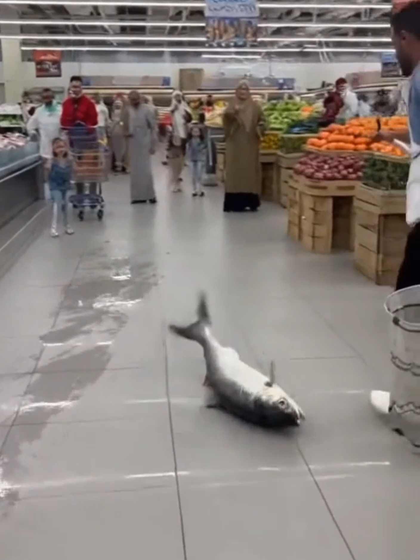 #Comedy_Scene #Supermarket_Chaos #Cairo_Fun #Fish_Escape #Slapstick_Humor #Funny_Video #Ultra_Realistic #Cinematic_Style #Vertical_Video #Egyptian_Scene #ضحك #سمكة_هاربة #سوبرماركت #فكاهة #مصر #مشهد_كوميدي #فيديو_مضحك #سينمائي #فوضى #لقطة_ساخرة #Komedi #Mesir #Ikan_Lucu #Supermarket_Kacau #Adegan_Lucu #Video_Realistis #Mesir_Modern #Film_Komedis #Scène_Comique #Poisson_Fuyant #Supermarché #Chaos #Humour #Égypte #Vidéo_Drôle #Style_Cinématographique #Comédie