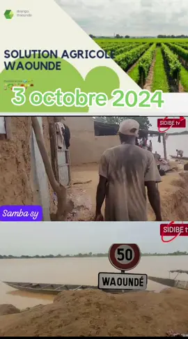 #senegalaise_tik_ #mauritanietiktok #malitiktok🇲🇱 #france🇫🇷 #gambian_tiktok🇬🇲🇬🇲 