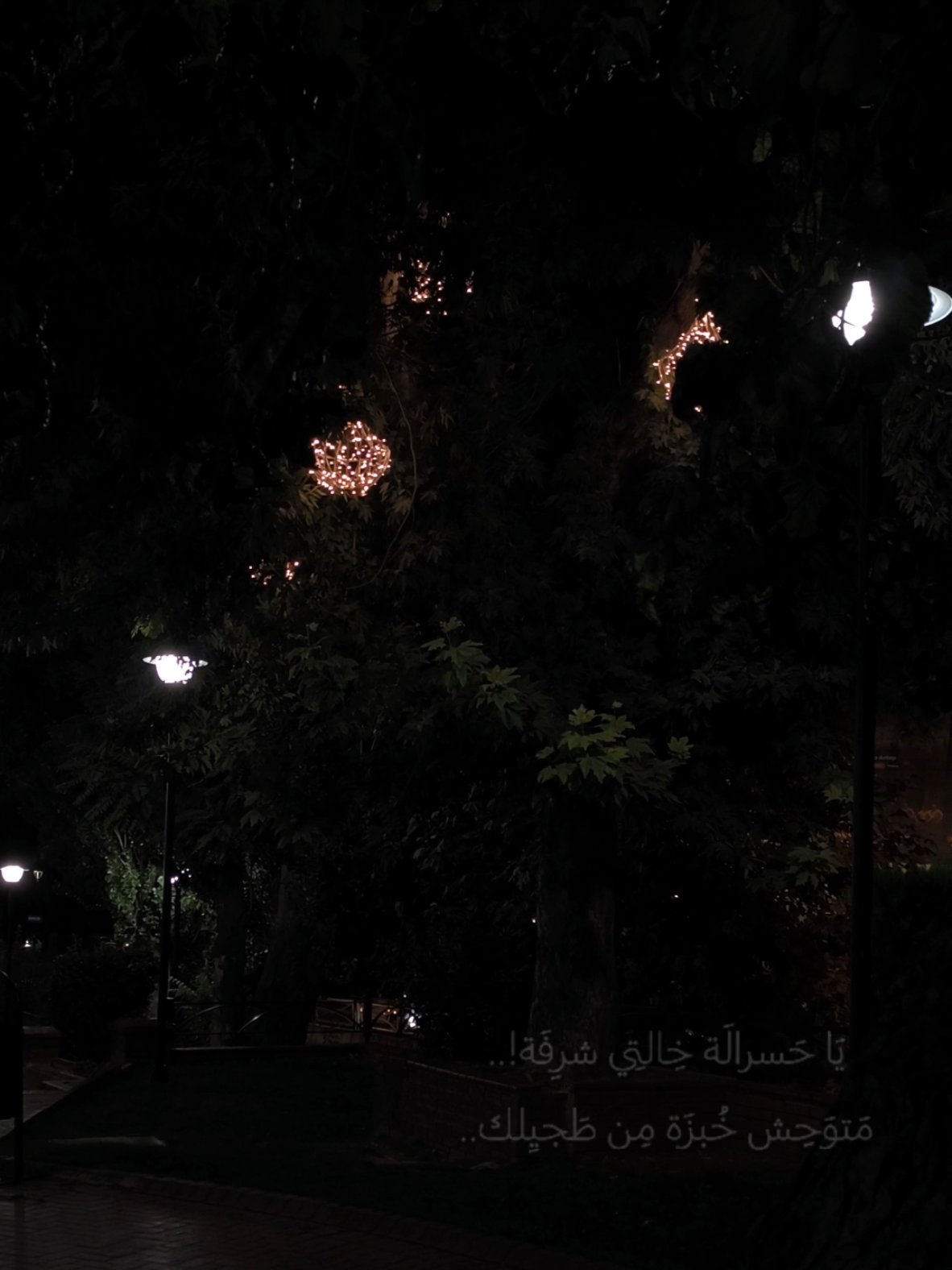 قـلـبـي مـعـبـى عـ الـمـاضـي...🥀 . . #متابعة #اكسبلور  #متابعة  #اغاني_ليبية🇱🇾 #حالات_واتس 