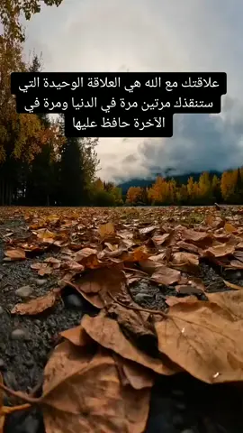 #قران #القران #اكسبلور #explore #لايك 