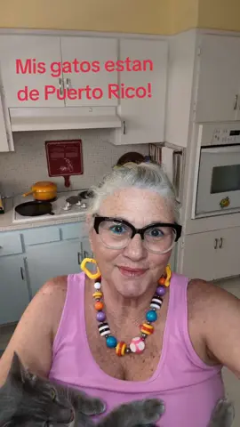 #badbunny #SuperBowl #salsa #dancing #gatosdetiktok 