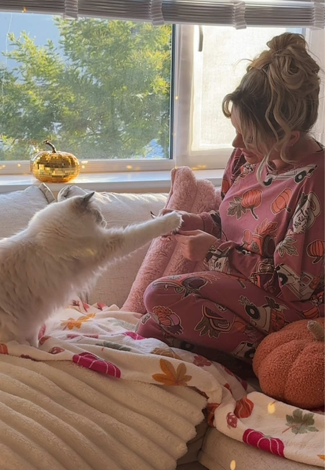 #AD Forever our favourite way to ensure a harmonious household, Gatsby & Mabel trust @Feliway UK to help them feel chilled, calm and cosy during the autumn months 🥰🤎  And Feliway Happy Snack is their ULTIMATE treat 😻  #calmcat #feliway #feliwayoptimum 