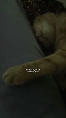 #lyrics 