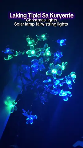 Ang ganda. #christmaight #solarlights #solarlamp #fairystringlights 