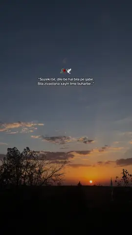 S T O R Y”Lik Bir Söz Bırak..🕊️🌹  #meralsimsekk1 #storylikvideolar #storylikşarkılar #fyppp 