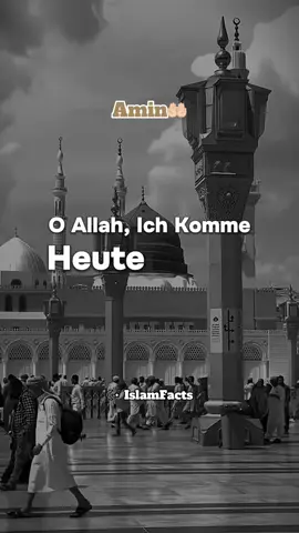 Amin🤲🏻🤍                                #Islam #liebe #fürdich #dua #fyp 