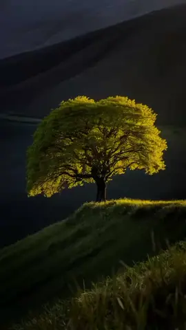 عندما تتحدث بعينيك لاحاجة للكلمات..