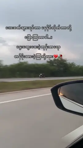 Good Night 💐#feelစာသား🥀 #fyp #foryou #feelings #စာတို 
