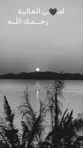 #رحمك_الله_يا_امي #دعاء_لامي_المتوفية #اللهم_ارحم_امي 