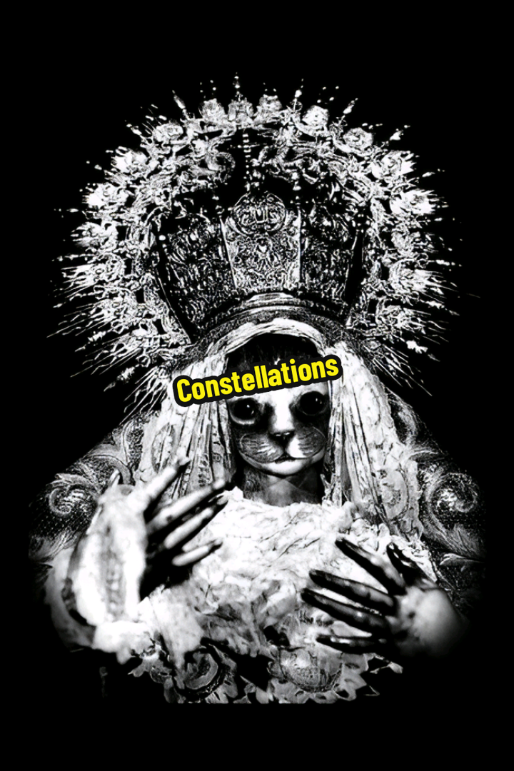 Mr.Kitty - Constellations. #mrkitty #song 