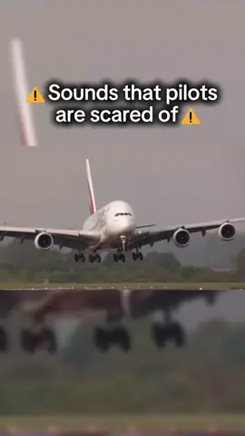 ⚠️Sounds that pilots are scared of⚠️
