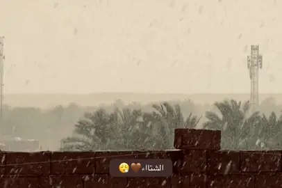 #capcut #fyp #fypage #اعادة_النشر🔃 #الشعب_الصيني_ماله_حل😂😂 
