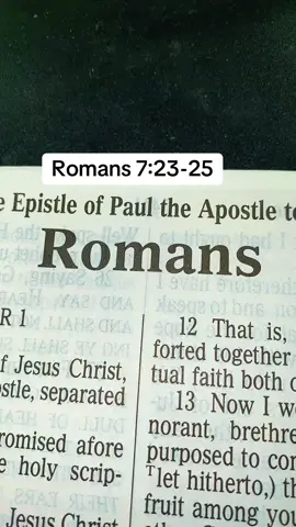 #TheLordJesusChrist #Messiah #GospelKJV #ScriptureReadingFYP #TheGreatShepherd